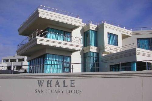 Whale Sanctuary Lodge (3)